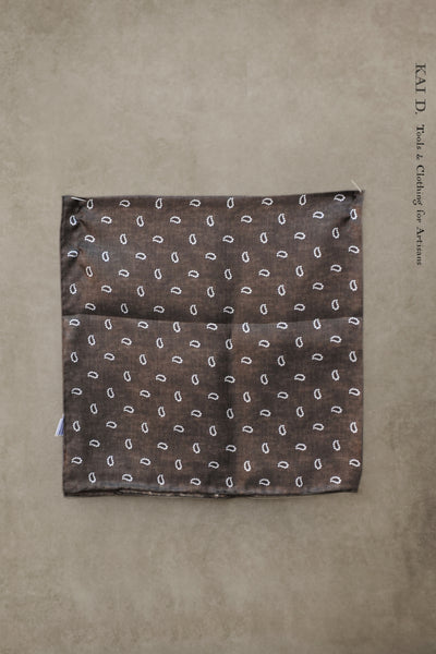 Silk Bandana/Pocket Square - Tear Drop Paisley